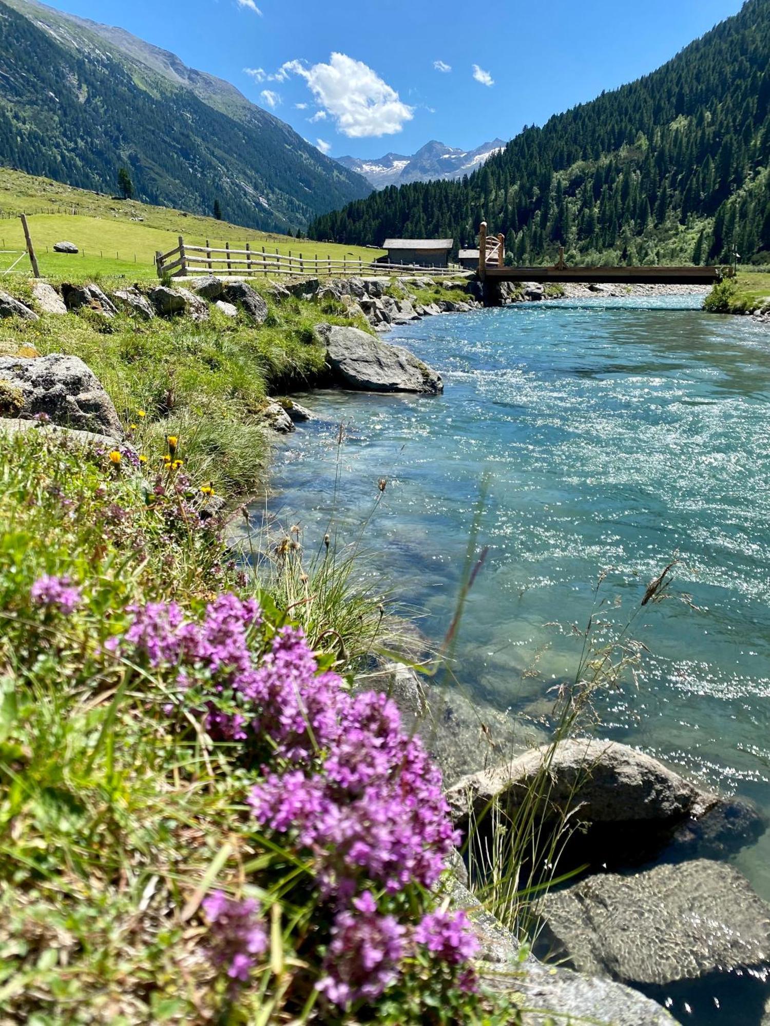 Landhaus Rosengartl Krimml Lägenhet Oberkrimml Exteriör bild