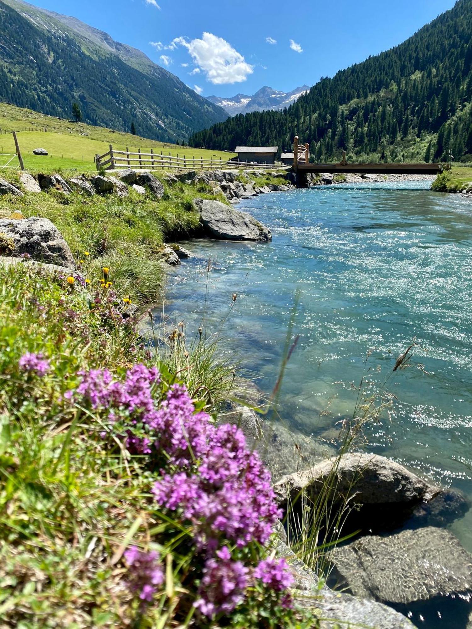 Landhaus Rosengartl Krimml Oberkrimml Exteriör bild